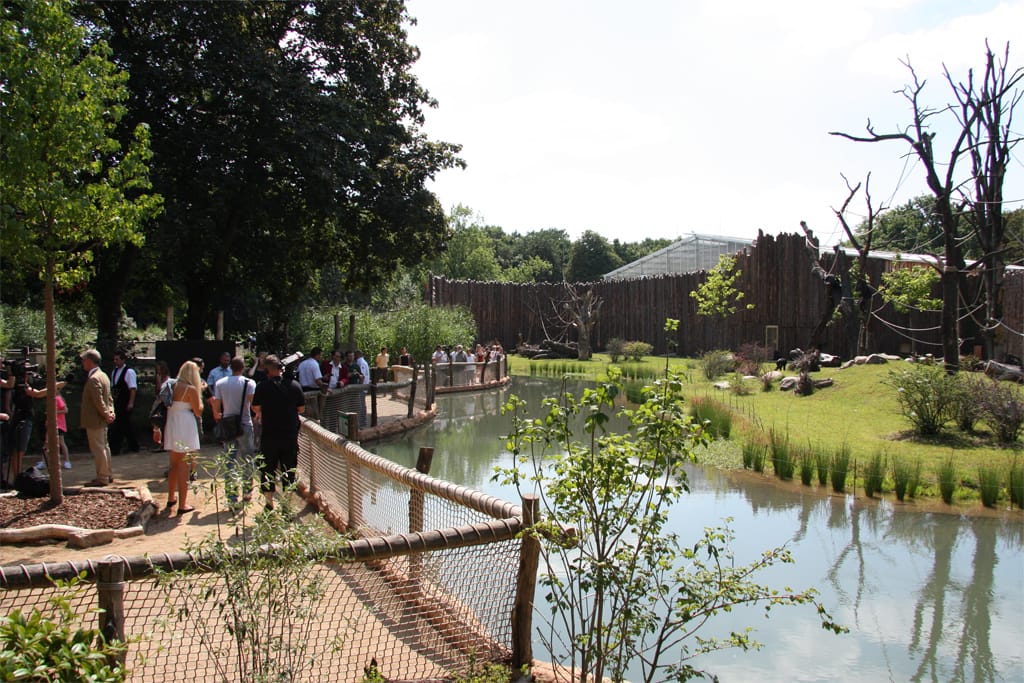 14_07_17_Schimpansenhaus_Eroeffnung_118_Web